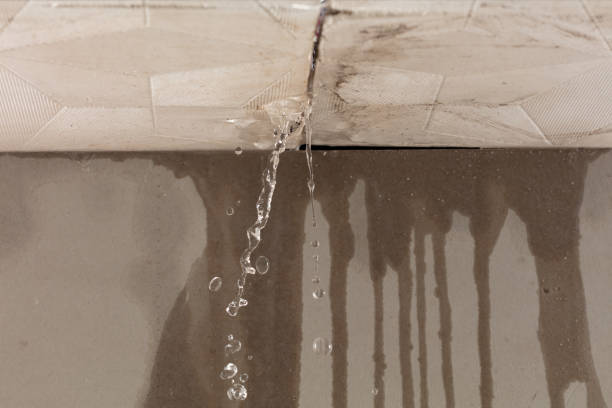 Professional Flood Damage Cleanup technician working in Vernon, AZ